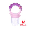 Baby Teether for Fresh Food