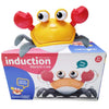 Crawling Crab Baby Toy